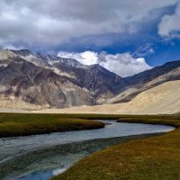 8 - Sanjeev Kumar Yadav